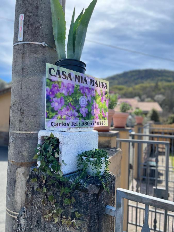 Casa Mia Malva Apartment ริคคอ เดล โกลโฟ ดิ สเปเซีย ภายนอก รูปภาพ